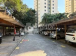 CARNEIRO LEÃO_2
