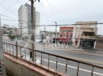 CEREJEIRAS_18